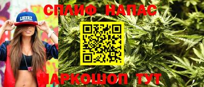 скорость Бийск