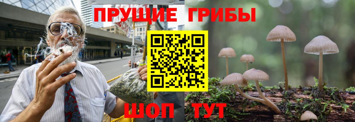 Галлюциногенные грибы прущие грибы Берёзовский